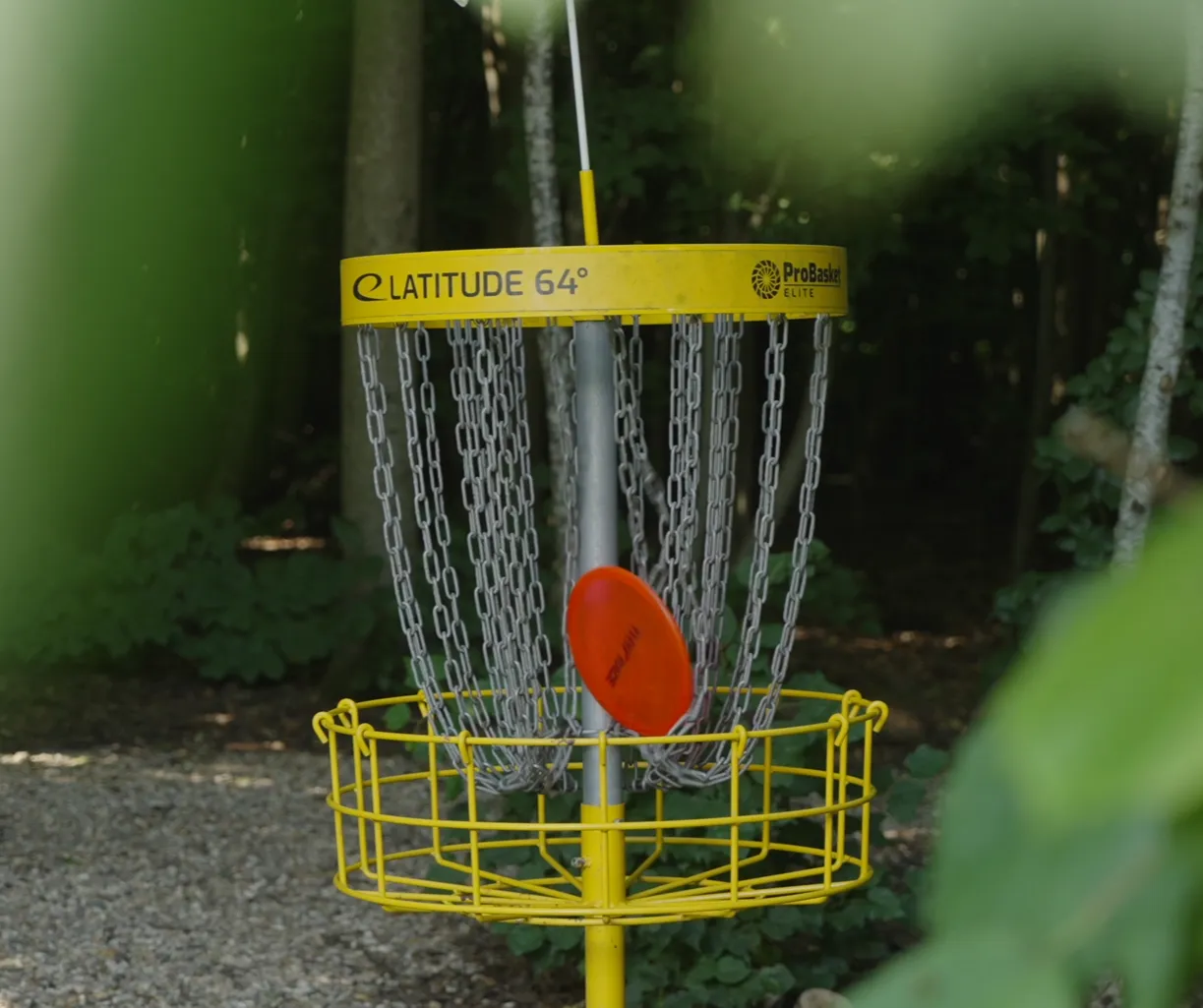 Discgolf